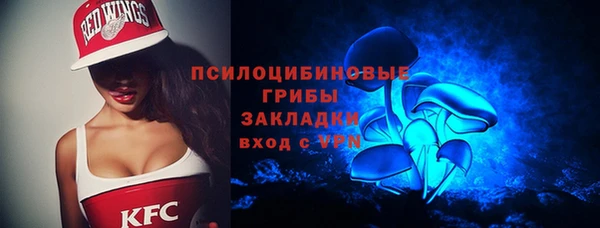 а пвп мука Новозыбков