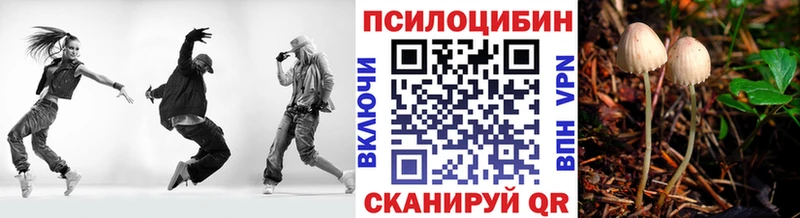 кракен ONION  Уяр  Псилоцибиновые грибы Psilocybe  как найти закладки 